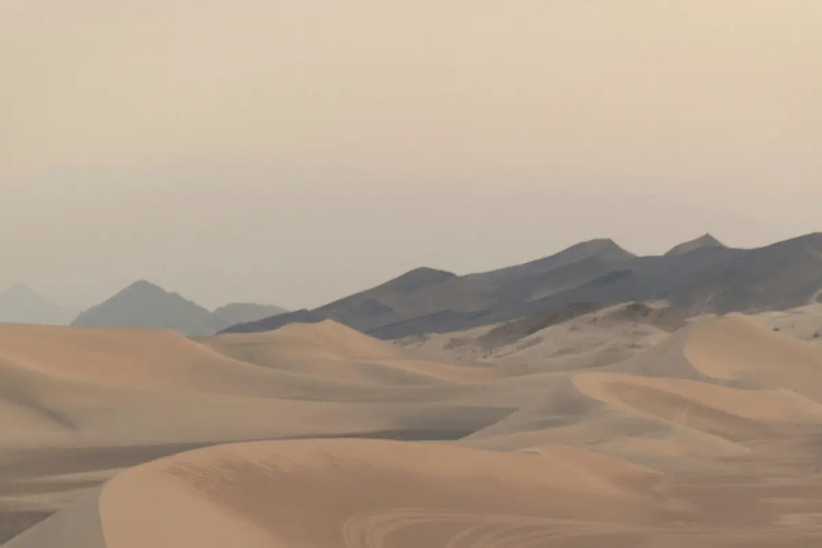 Jak sprawdzić uczciwość dostawcy bez kłótni?