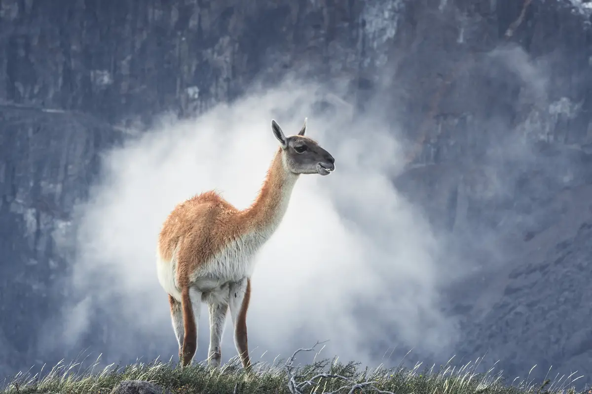 Ceny prądu w 2024: jak firma z Gdańska obniżyła rachunki o 14.7%